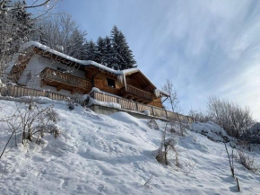 Chalet in Bruck am Grossglockner near ski lift